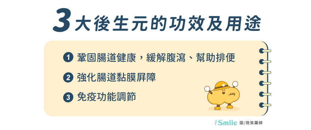 原來差麼多!了解益生菌為什麼要配後生元 - 微笑藥師網-你的居家保健資料庫
